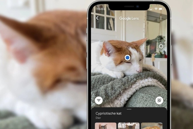 Google Chrome cập nhật tính năng tìm kiếm mới với Google Lens- Ảnh 2.