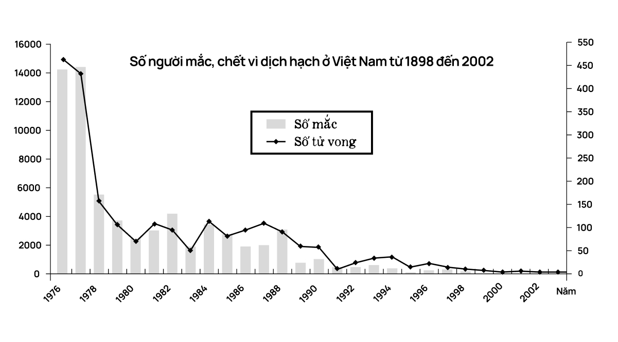 Một biên niên sử về dịch hạch tại Việt Nam và "Cái chết đen" từng xóa sổ 50% dân số Châu Âu trong quá khứ- Ảnh 25.